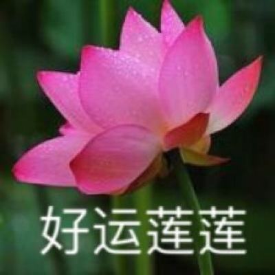 邵晨 董晓波：《论语》西传：中国儒家思想与欧洲启蒙运动的交汇